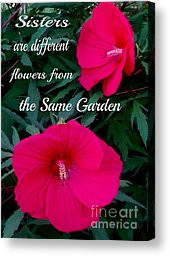 Sister Quotes Photographs Canvas Prints - Sisters are differnt flowers ...