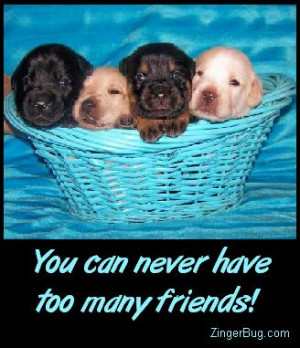 St. Clair County Animal Adoption Center