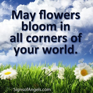 May Flowers Bloom In All Corners Of Your World - Flower Quote
