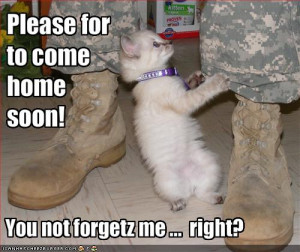 ... thread of 2009!-funny-pictures-kitten-asks-soldier-come-home-soon.jpg