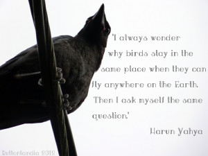 Words - Harun Yahya
