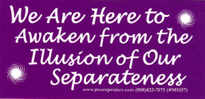 ... To Awaken From The Illusion Of Our Separateness - Small Bumper Sticker