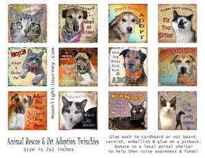 PeT ReScUe collage sheet adoption cat dog by moonlightjourney666