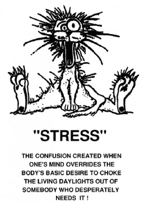Humour - Work & Stress