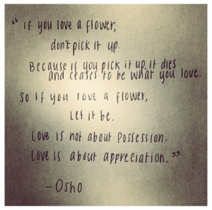 quotes prince love quotes prince love quotes little prince stars quote ...