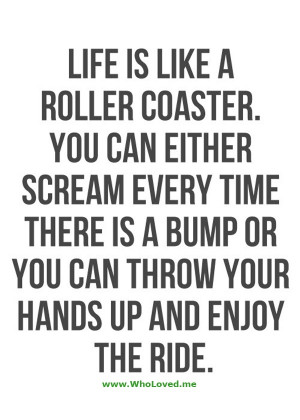 Life is like a roller coaster. It has its ups and downs…but it’s ...