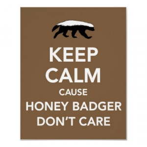 keep calm cause honey badger dont care