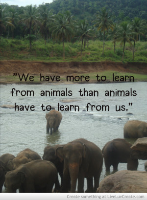 quotes about love and elephants