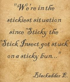 Blackadder Quotes