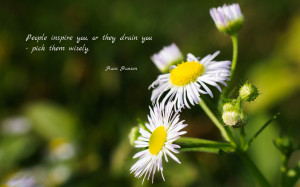 People inspire you, or they drain you... quote wallpaper