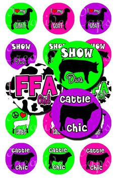 Show Animals FFA 4H Goat Lamb Steer Pig Images for Bottle Caps 4x6