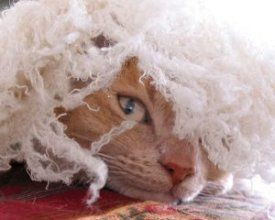 Bible verses for children: lying