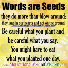 careful what you plant and be careful what you say you might have to ...