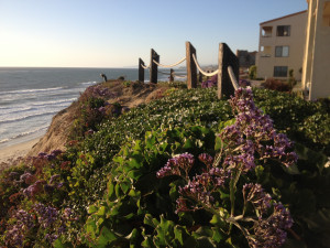 Displaying 20> Images For - Cute Quotes To Write On Your Hand...