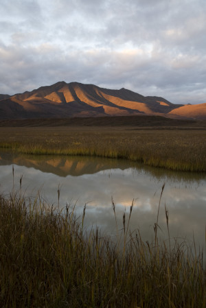 to the arctic national wildlife refuge 25 th anniversary celebration