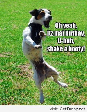 Happy birthday to me funny - Funny Pictures, Funny Quotes, Funny Memes ...