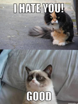 Angry cat vs. Grumpy cat