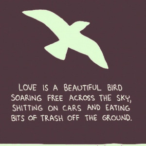 Love is a beautiful bird soaring free across the sky, shitting on cars ...