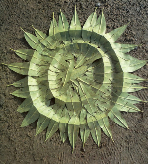 Andy Goldsworthy Sculpture