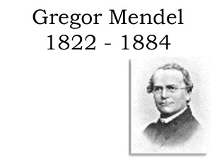 Gregor Mendel 1822 - 1884 by ewghwehws