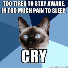 ... Illness Cat - Too tired to stay awake. In too much pain to sleep. Cry