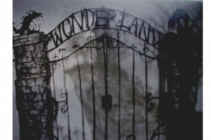 alice, alice in wonderland, babalisme, black and white, dark, gate, go ...