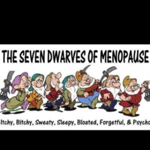 Seven Dwarf Friends In Middle Age