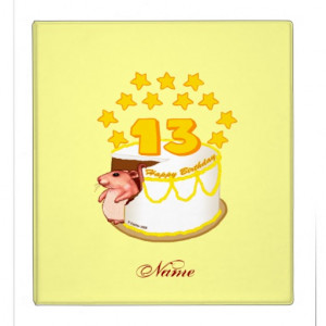 13 Year Old Birthday Cake Mouse Vinyl Binder