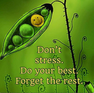 ... Counseling, Favorite Quotes, Inspiration Quotes, Dont Stress Quotes