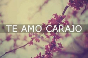 Te amo carjao love quote