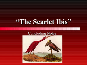 The Scarlet Ibis Final