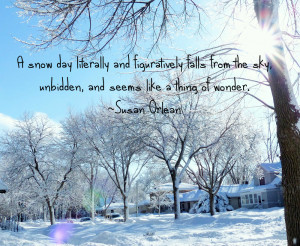 snow Susan Orlean Quote