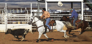 loses his hat while heading during Laramie Jubilee Days team roping ...