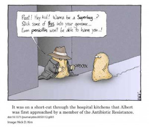 wann und wo: MONTAGS 16:15-17:15h, phytotechnikum, IPB