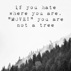 , hardtruth #fashion #selfie #quote, Selfie, Quotes, quotes, quote ...