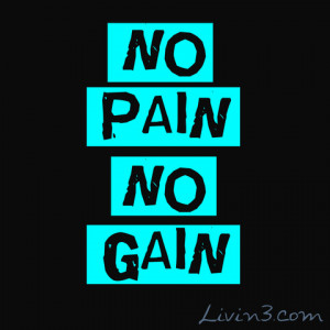 No Pain No Gain Fitness motivational poster quote