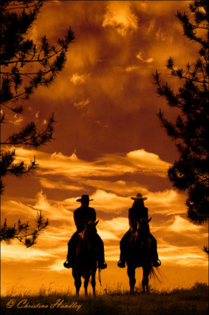 Cutting western quarter paint horse appaloosa equine tack cowboy ...