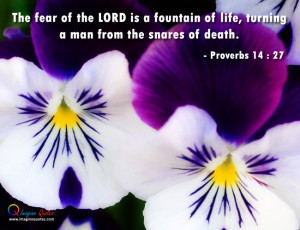 ... fountain of life, turning a man from the snares of death.- Proverbs 14