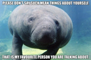 motivational manatee, reminds me of Nemo