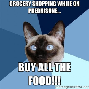 ... Cat - Grocery shopping while on prednisone... Buy all the food
