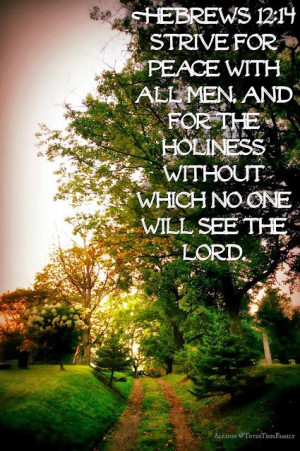 Scripture Hebrews 12:14 Totus Tuus Family & Catholic Homeschool ...