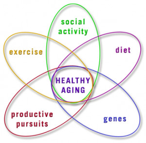 Center on Healthy Aging
