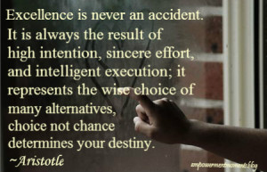 Moment Of Inspiration - Quote On Excellence