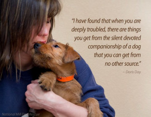 ... Living, Dachshund Quotes, Pets Quotes, Doris Day, Little Dogs, Animal