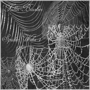 ... .com/wise-quotes/when-spider-webs-unite-then-can-tie-up-a-lion