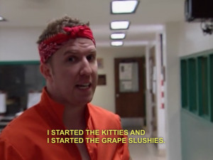 terry reno 911 reno 911! reno911