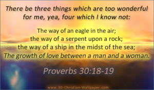 Christian Quotes – Proverbs 30:18-19