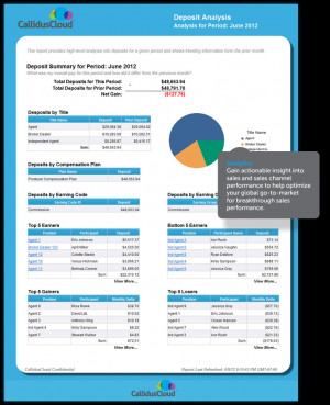 Gain actionable insight into sales and sales channel performance to ...