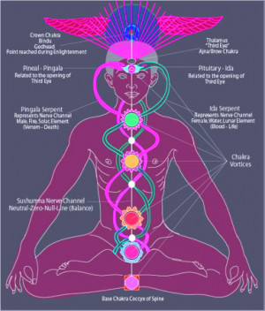 The real measure of kundalini rising is your consciousness from breath ...