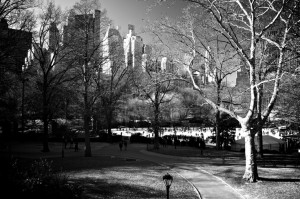 Funny Quotes Contact Dmca